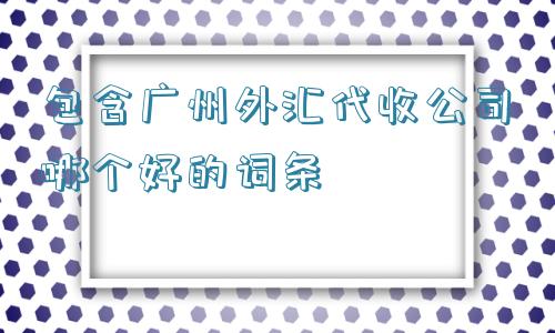 包含广州外汇代收公司哪个好的词条