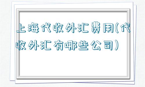 上海代收外汇费用(代收外汇有哪些公司)