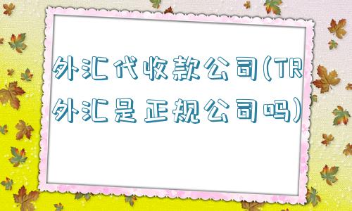 外汇代收款公司(TR外汇是正规公司吗)