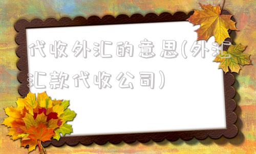 代收外汇的意思(外汇汇款代收公司)